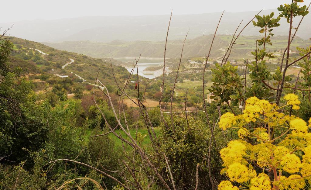 Amarakos Guesthouse Λειτουργεί Υπό Νέα Διεύθυνση Kato Akourdalia ภายนอก รูปภาพ